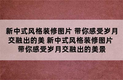 新中式风格装修图片 带你感受岁月交融出的美 新中式风格装修图片 带你感受岁月交融出的美景